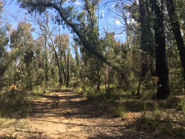 Fifth view of Homely land listing, 47 Salisbury Avenue, Mount Victoria NSW 2786