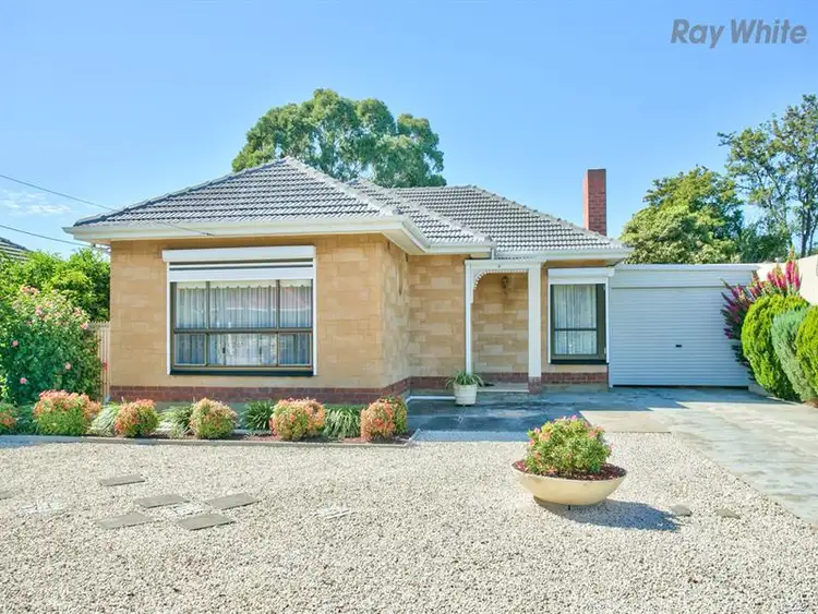 29 Gray Street, Plympton SA 5038