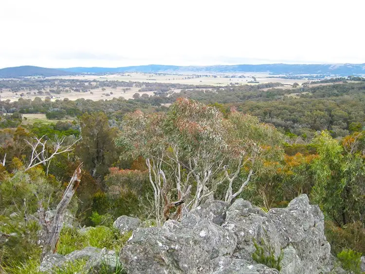 Main view of Homely land listing, 113 Mays Lane, Currawang NSW 2580