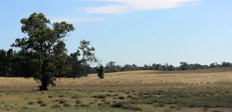 Fifth view of Homely rural property listing, Address available on request