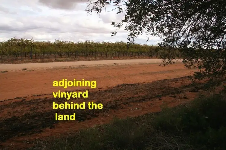 Second view of Homely land listing, Lot 37 Playford Road, Waikerie SA 5330