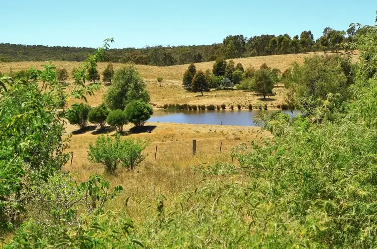 Second view of Homely rural property listing, 525 Hardings Lane, Tooborac VIC 3522