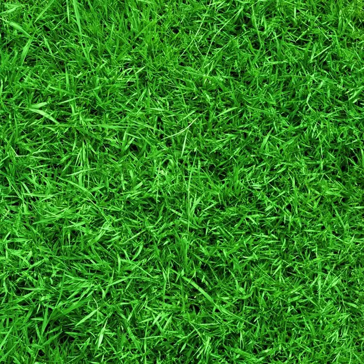 Lot 1211 Calderwood Valley, Calderwood NSW 2527