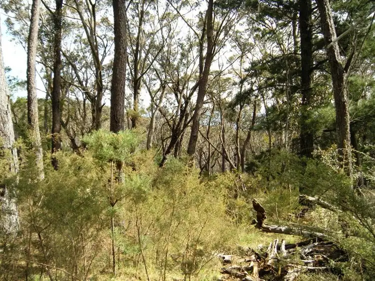 Third view of Homely land listing, 1 Delmonte Avenue, Medlow Bath NSW 2780