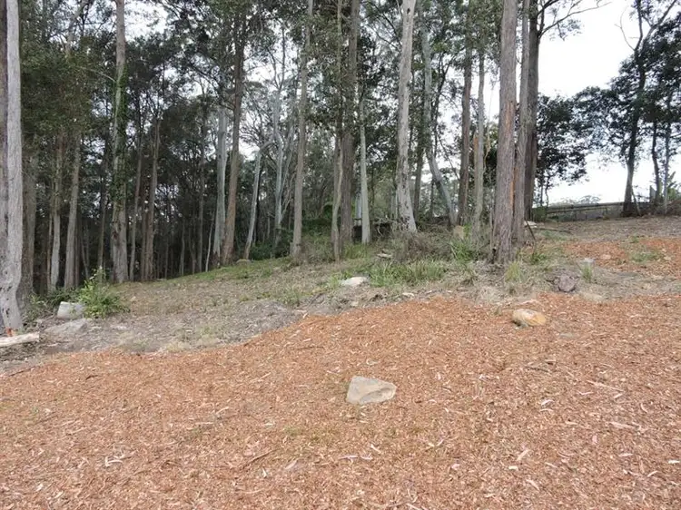 Lot 1, 521 Sunnyvale Close, Lisarow NSW 2250