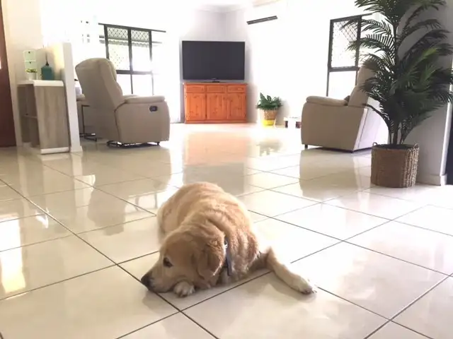 10 Altona Street, Bentley Park QLD 4869