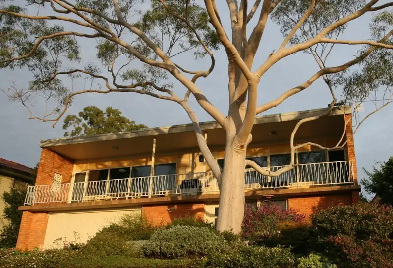 Main view of Homely house listing, 76 Croydon Avenue, Tamworth NSW 2340