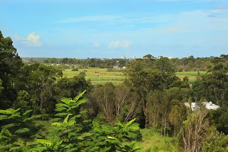 Sixth view of Homely house listing, 574 Petrie Creek Road, Rosemount QLD 4560