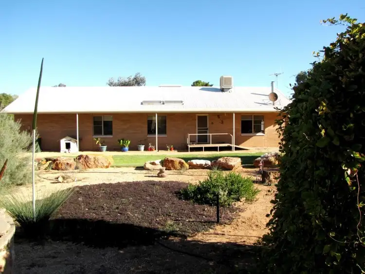738 Thiele Road, Loveday SA 5345
