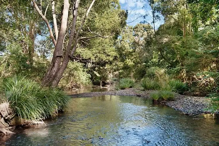 Third view of Homely rural property listing, 253 Brays Creek Road, Tyalgum NSW 2484