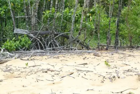 Fifth view of Homely land listing, Lot 3 Wheatley Road, Wongaling Beach QLD 4852