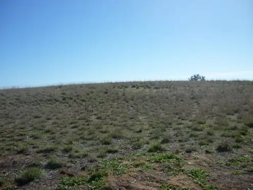 Seventh view of Homely land listing, Lot 5 Echidna Way, Conargo NSW 2710