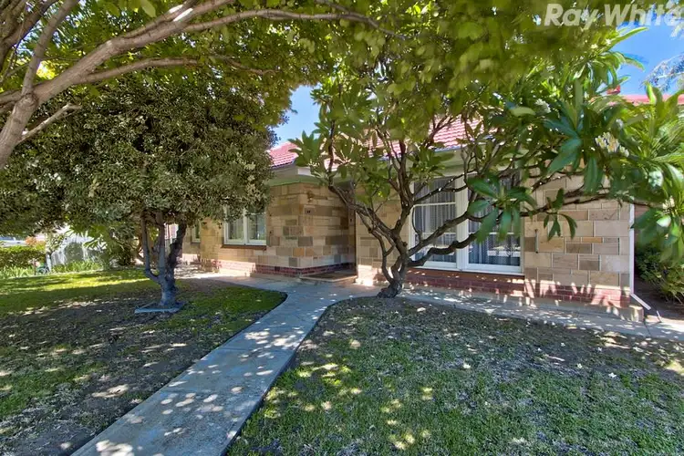 38 Ayton Avenue