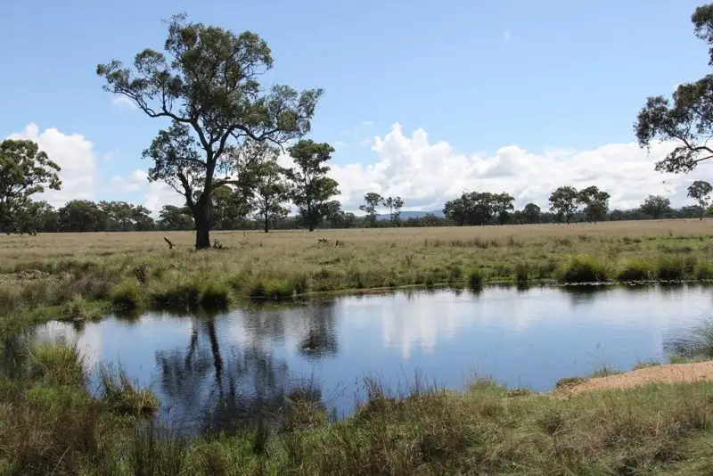 Main view of Homely rural property listing, 888 Bruxner Highway, Tenterfield NSW 2372