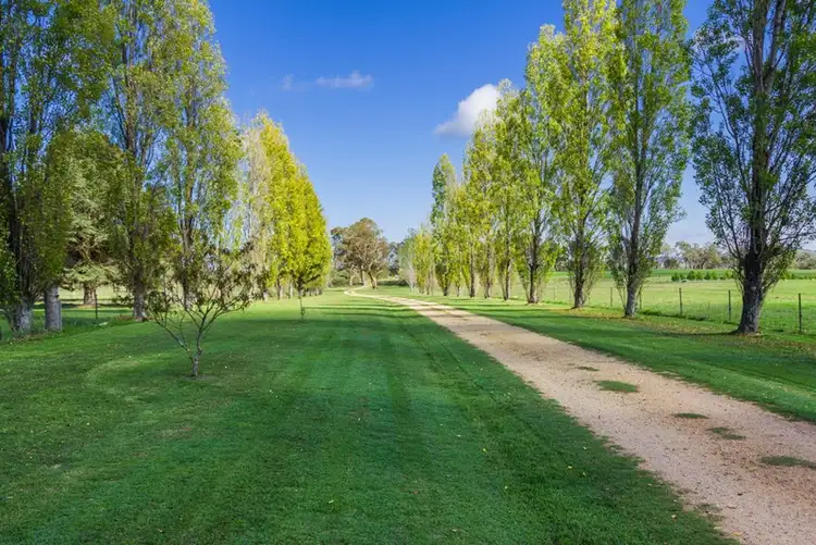 Fifth view of Homely rural property listing, 211 Dangars Falls Road, Armidale NSW 2350