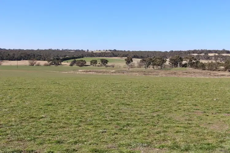 Seventh view of Homely rural property listing, 1436 Rockvale Road, Armidale NSW 2350