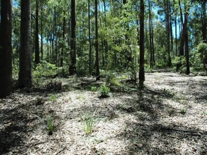 Main view of Homely land listing, 48 Denise Drive, Lilli Pilli NSW 2536