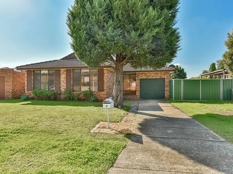 7 Randall Avenue, Minto NSW 2566