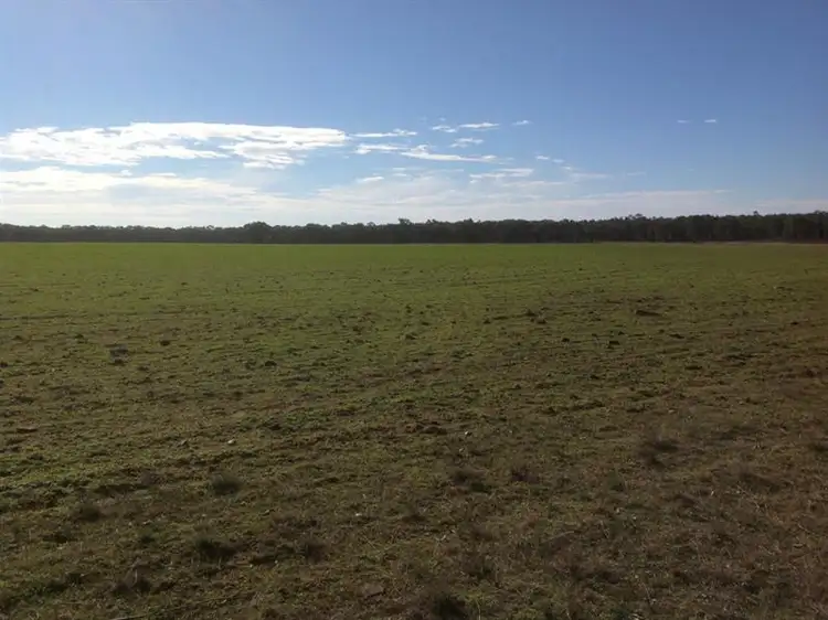 Third view of Homely rural property listing, Lot 4 North Pine Creek, Coonabarabran NSW 2357