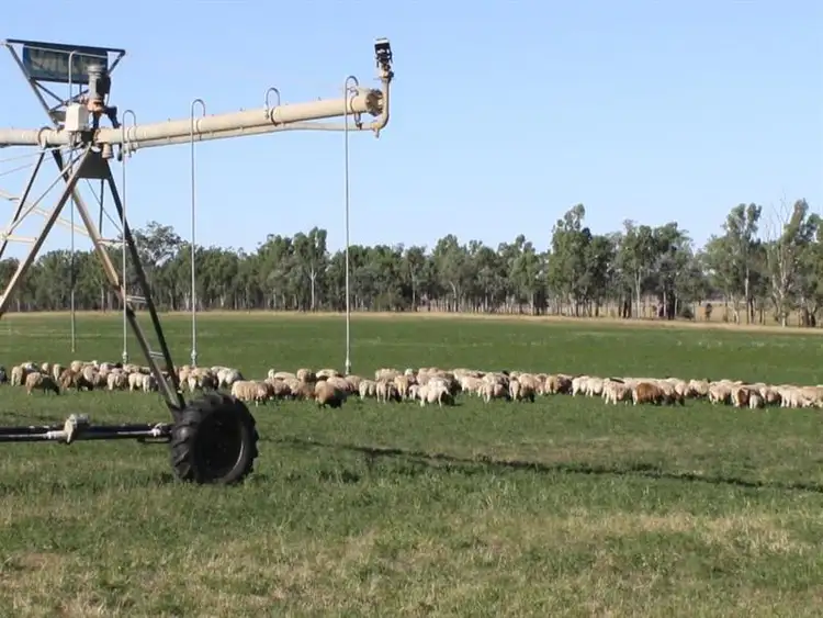 Sixth view of Homely rural property listing, 90 Taylors Road, Mundubbera QLD 4626