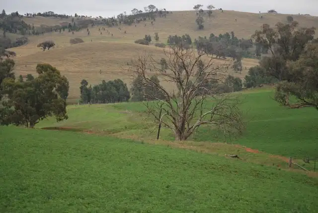 Fourth view of Homely rural property listing, Address available on request