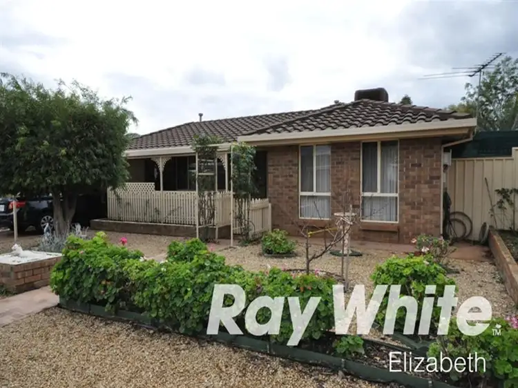 Main view of Homely house listing, 8 Buttercup Grove, Blakeview SA 5114