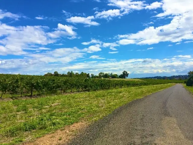 Sixth view of Homely rural property listing, Lot 9 Chardonnay Road, Cowra NSW 2794