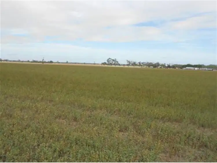 Third view of Homely rural property listing, 76 Billy Lane, Bordertown SA 5268