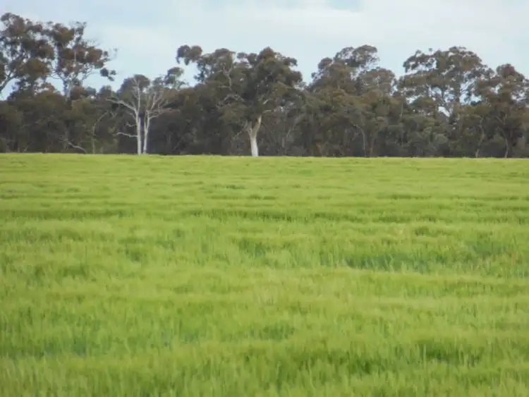 Third view of Homely rural property listing, Uannup Road, Cranbrook WA 6321