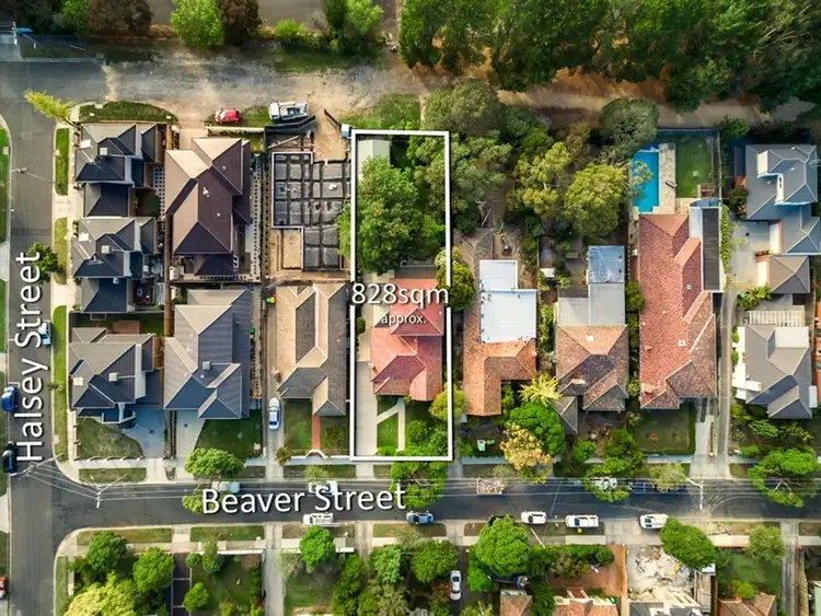 Third view of Homely house listing, 7 Beaver Street, Box Hill South VIC 3128