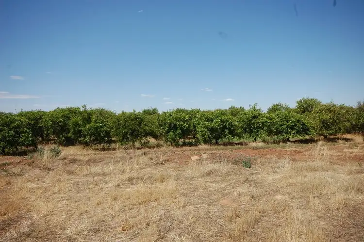 Fourth view of Homely rural property listing, Farm 78 Murray Road, Yoogali NSW 2680