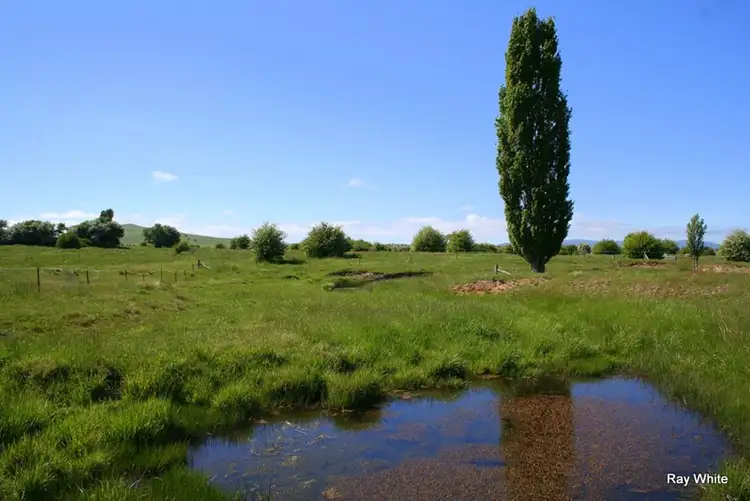 Third view of Homely rural property listing, 21 - 22 Majors Creek Road, Braidwood NSW 2622