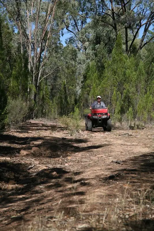 Seventh view of Homely rural property listing, 1 "Mount Eurow", Parkes NSW 2870