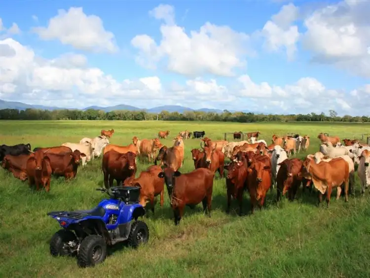 Second view of Homely rural property listing, 32 Perry Road, Sarina QLD 4737