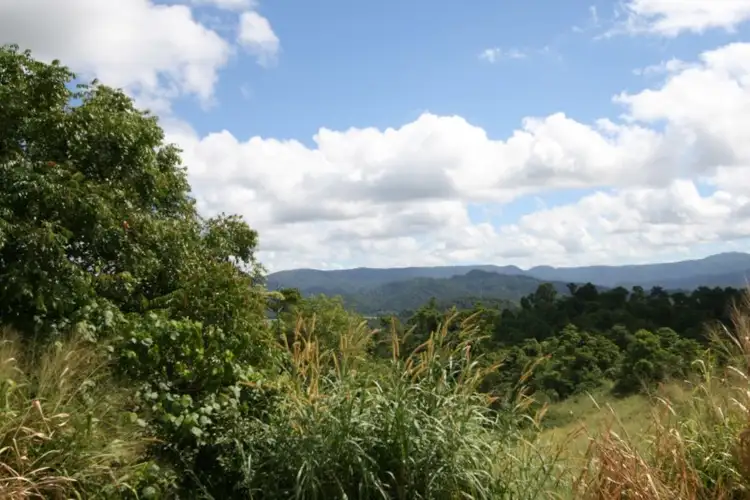 Fourth view of Homely rural property listing, 239 Dunne Road, East Palmerston QLD 4860