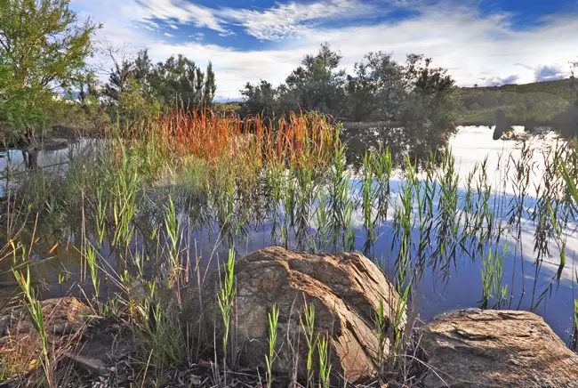 Fourth view of Homely house listing, 393 Weeroona Drive, Wamboin NSW 2620