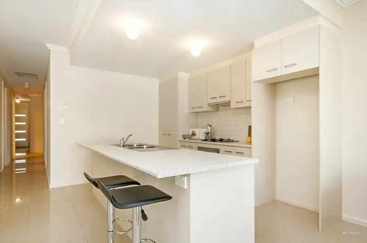 Seventh view of Homely house listing, 84 Lurline Avenue, Gilles Plains SA 5086