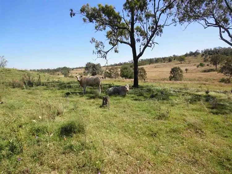 Main view of Homely rural property listing, Lot 80 and 2 Kings Hill Road, Kulpi QLD 4352