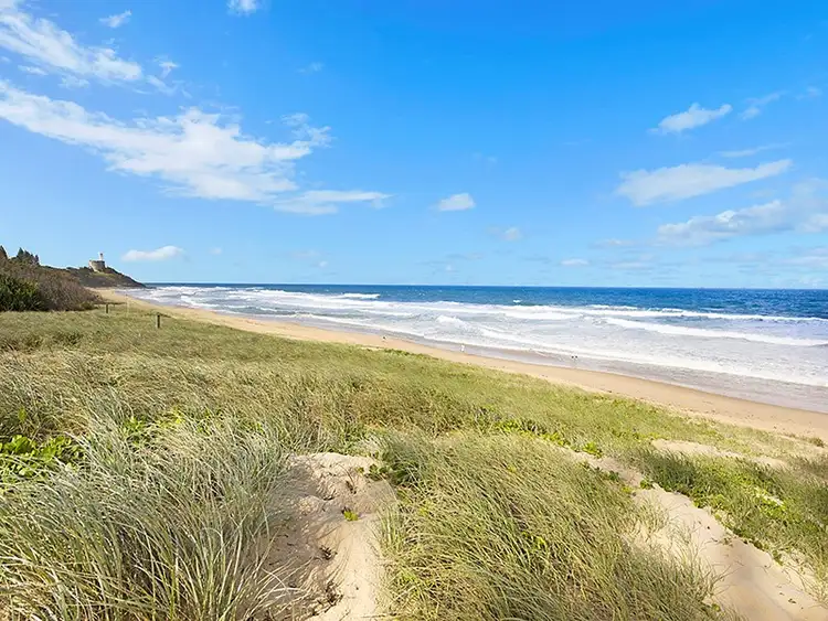 Fourth view of Homely house listing, 12 Allambie Court, Buddina QLD 4575