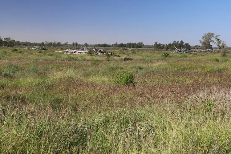 Fourth view of Homely rural property listing, 0 DRUMFERN, Roma QLD 4455