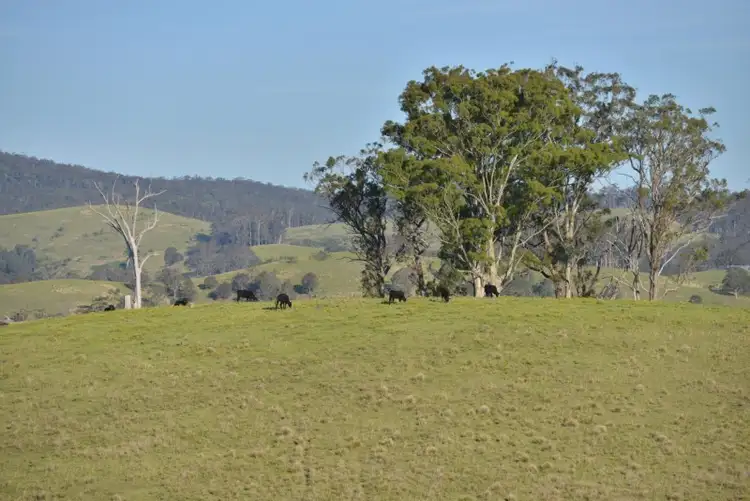 Fourth view of Homely rural property listing, 758 Gilgurry Road, Tenterfield NSW 2372
