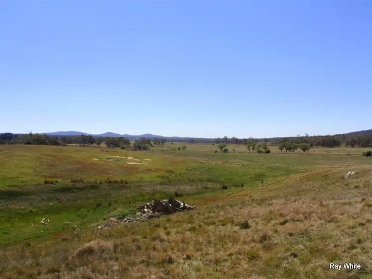 Sixth view of Homely rural property listing, 318 Larbert Road, Braidwood NSW 2622