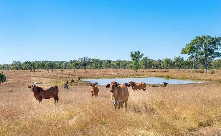 Seventh view of Homely rural property listing, 3100 Stanwell Waroula Road, Alton Downs QLD 4702