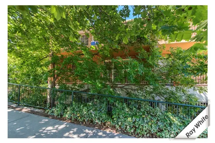 Second view of Homely house listing, 31/1 Waddell Place, Curtin ACT 2605