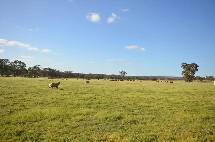 Third view of Homely rural property listing, Peacocks Road, Natte Yallock VIC 3465