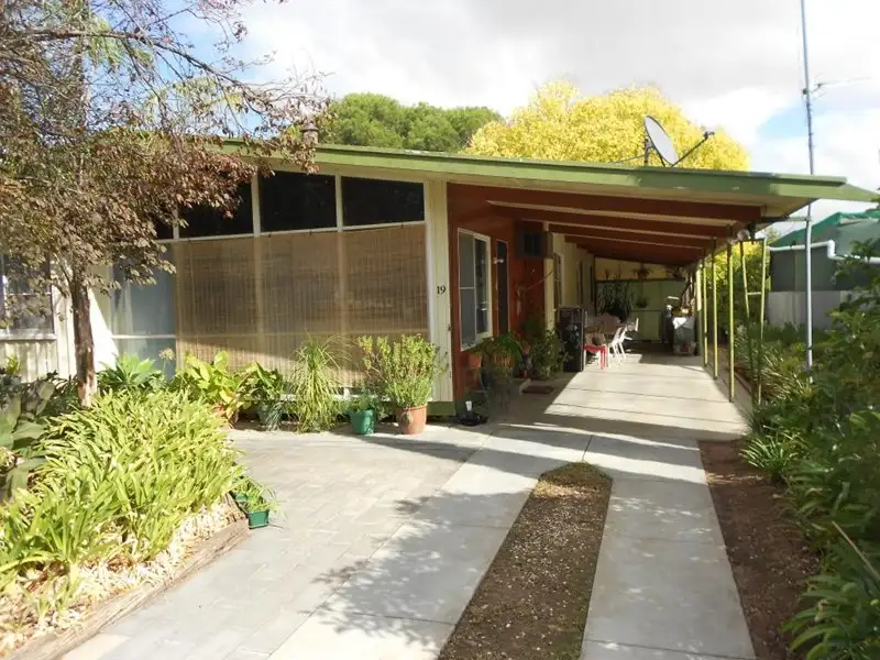 Main view of Homely house listing, 19 Salom Street, Bordertown SA 5268