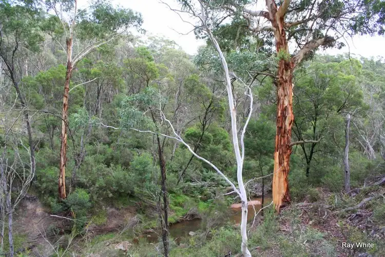 Sixth view of Homely rural property listing, 19 Tomboye Road, Braidwood NSW 2622