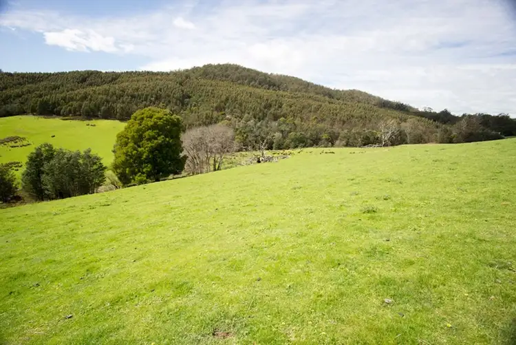 Fifth view of Homely rural property listing, 163 Turkey Farm Road, Glengarry TAS 7275
