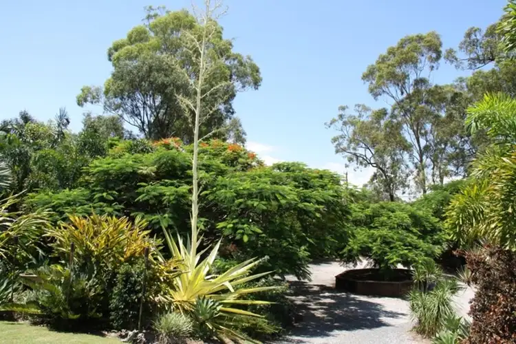 Seventh view of Homely house listing, 11 Ronald Crescent, Benaraby QLD 4680