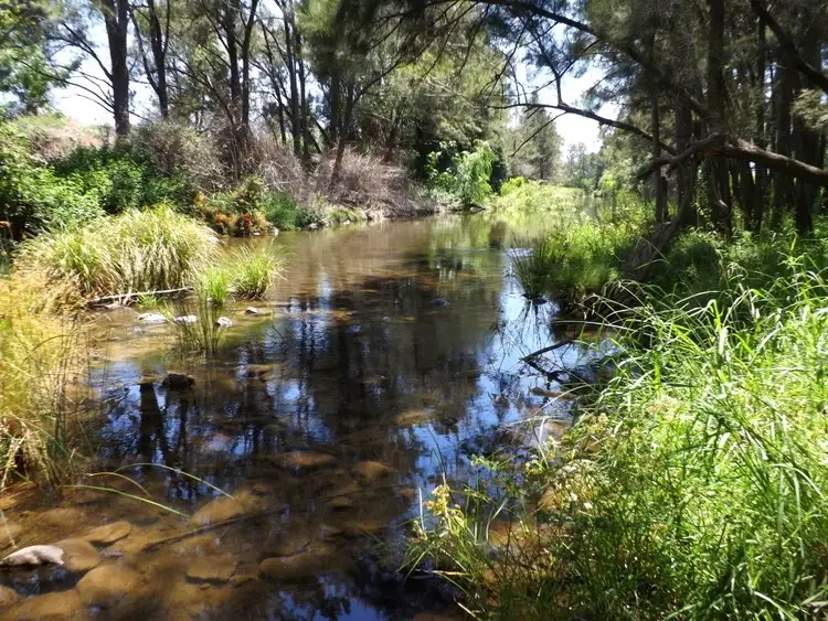 Main view of Homely rural property listing, 47 Goorangoola Road, Singleton NSW 2330